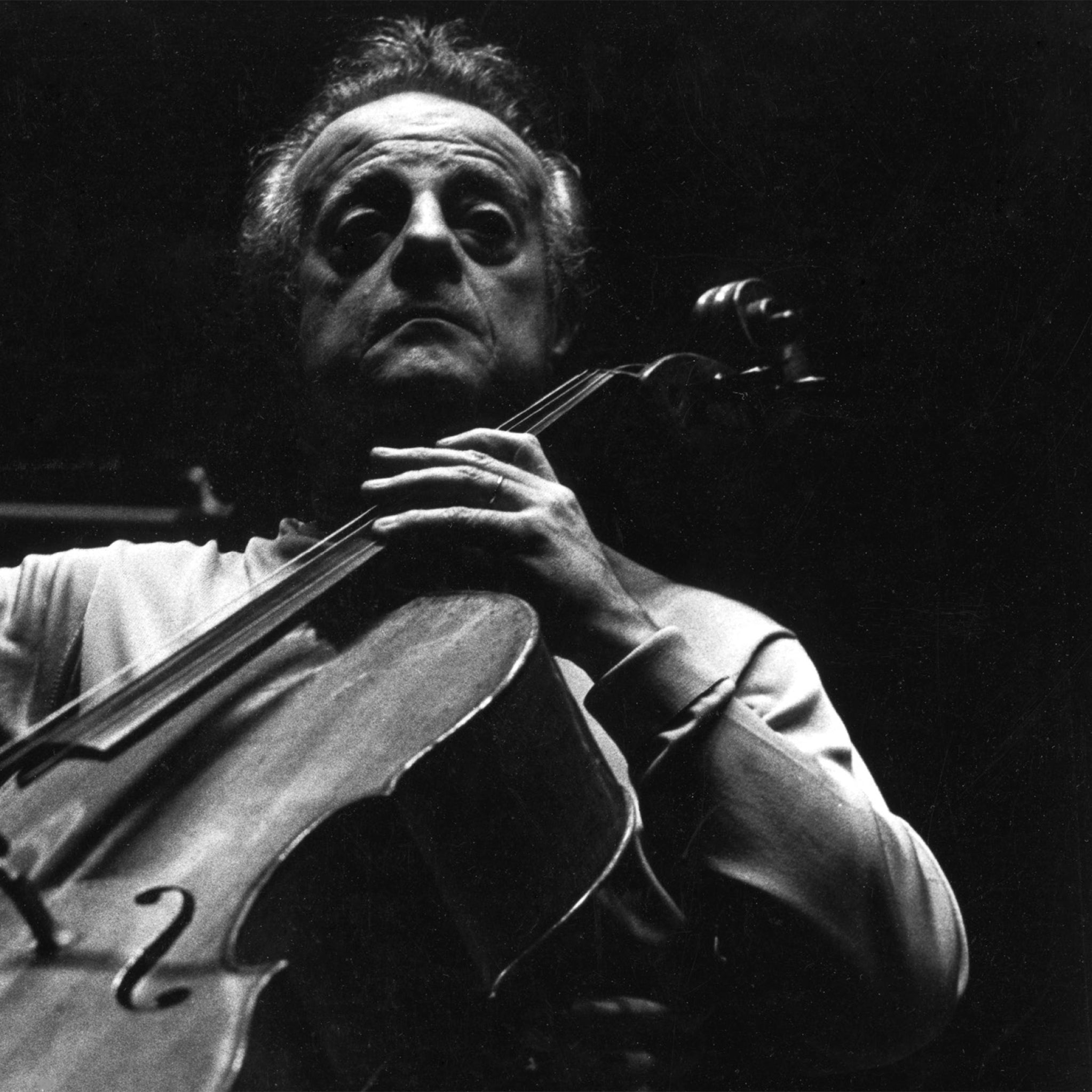 Photo de André Navarra - The Cello 